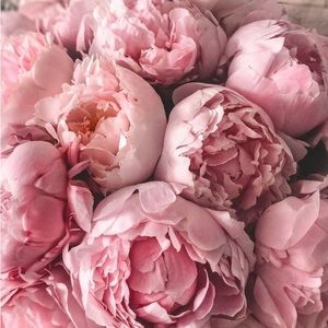 Meet your Posher, Leslie